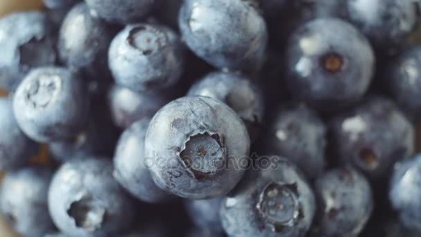 Fresh, ripe blue berries rotate, wild berry. Close up — Stock Video