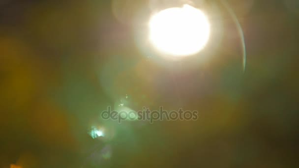 Abstrato natureza bokeh fundo. Luz do pôr do sol, explosões da lente do sol, hora dourada — Vídeo de Stock