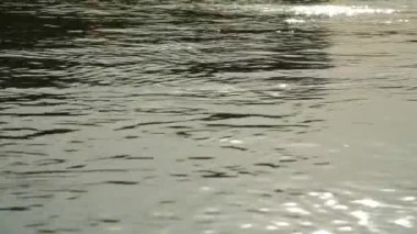 Yüzey suyu. Arka plan meditative ve hipnotik etkisi.
