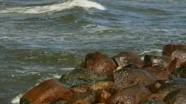 Deniz yeşil yosun ve yosunlu taş su kıyısında.