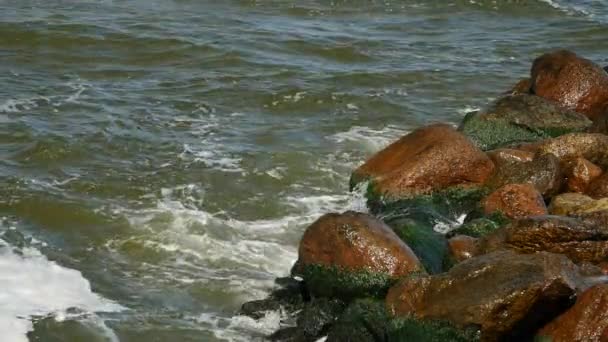 Spruzzi di acqua di mare sulle rocce della riva del mare . — Video Stock