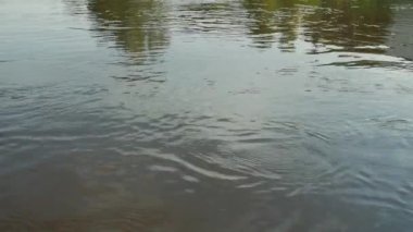 Yüzey suyu. Arka plan meditative ve hipnotik etkisi.