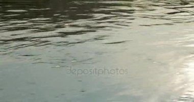 Güneş ışığı yansıması nehir.
