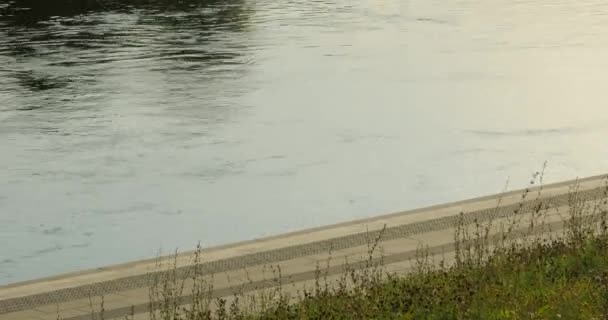 A desfrutar de uma corrida matinal. Homem correndo ao longo da margem do rio . — Vídeo de Stock