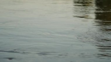 Yüzey suyu. Arka plan meditative ve hipnotik etkisi.