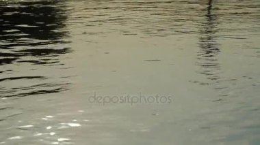 Yüzey suyu. Arka plan meditative ve hipnotik etkisi.