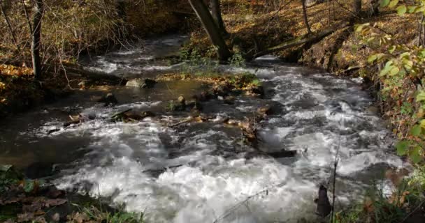 Водопад чистой пресной воды в осеннем лесу — стоковое видео