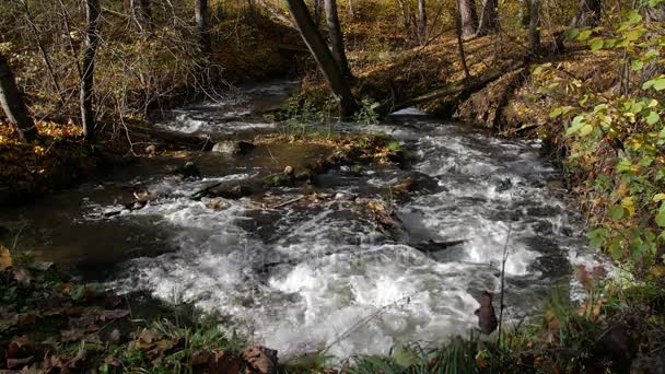 Водопад чистой пресной воды в осеннем лесу — стоковое видео