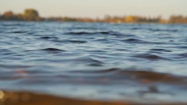 Vista del lago y las olas desde la orilla baja — Vídeo de stock