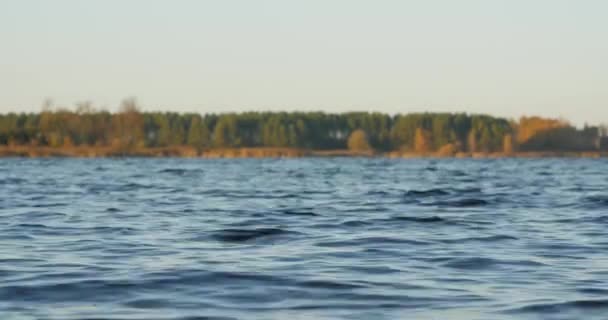 Blick auf den See und die Wellen vom niedrigen Ufer — Stockvideo