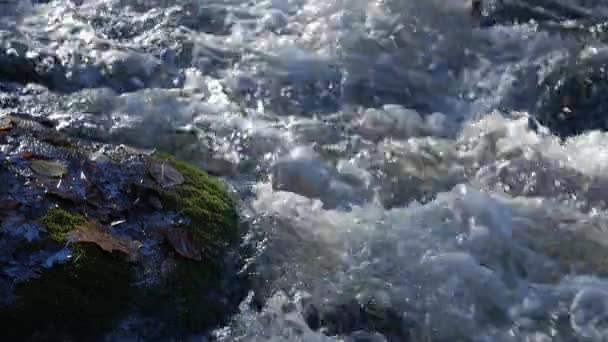 Primer plano de los arroyos de agua en un arroyo de montaña con hojas de otoño amarillas y marrones alrededor . — Vídeos de Stock