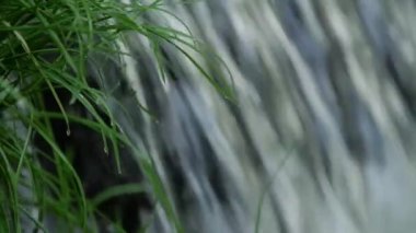 Su sıçrama üzerinde yeşil çim yavaş hareket ile şelale akan ve makroyu kapatın.