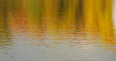 Suya yansıyan sonbahar gün ışığı manzara