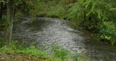 Ağaçların dalları aracılığıyla nehir görünümünü