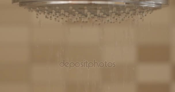 Close up Shower head with water dropping — Stock Video