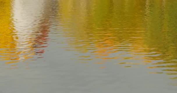 Autunno paesaggio luce diurna riflessa in acqua — Video Stock