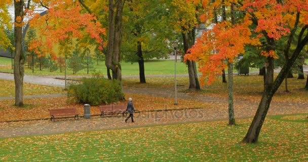 Gente caminando en la ciudad de otoño . — Vídeos de Stock