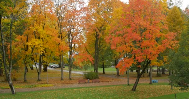 Herbstlicher Stadtpark. Ein unkenntlich gemachter Mann sammelt mit der Maschine Blätter ein — Stockvideo