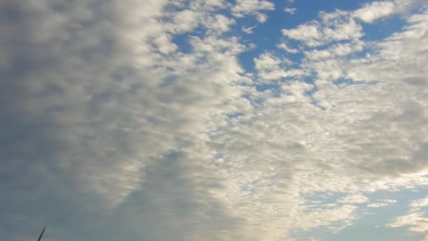 Paisaje de energía eólica al atardecer . — Vídeo de stock