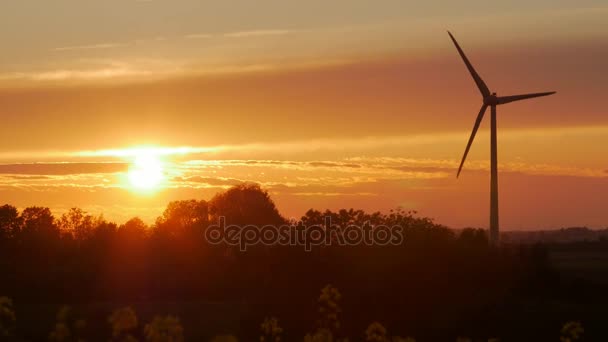 Windturbines boerderijen met stralen van licht bij zonsondergang — Stockvideo