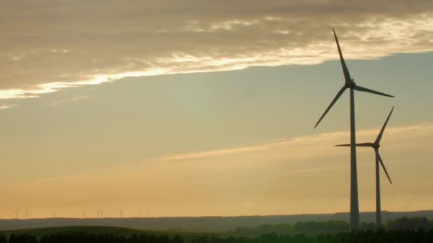 在夕阳的光线与风电的农场 — 图库视频影像