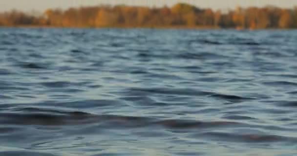 从低岸看湖和波浪 — 图库视频影像