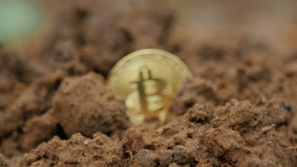 Koncept těžba kryptoměn. Bitcoin těžby. — Stock video