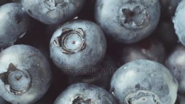 Taze, olgun mavi döndürme, vahşi berry çilek. Yakın çekim