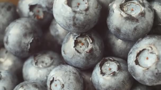 Свіжі, стиглі блакитні ягоди обертаються, дикі ягоди. крупним планом — стокове відео