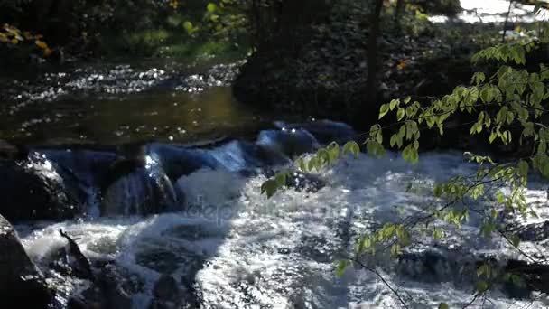 Быстрый поток, речная вода, протекающая через камни, удивительная природа дикой природы . — стоковое видео