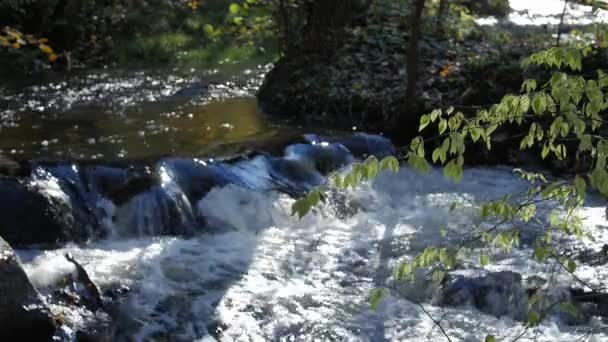 Ruisseau rapide, l'eau de la rivière qui coule à travers les pierres, magnifique scène de la nature sauvage . — Video