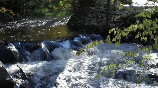 ruisseau rapide, l'eau de la rivière qui coule à travers les pierres, magnifique scène de la nature sauvage .