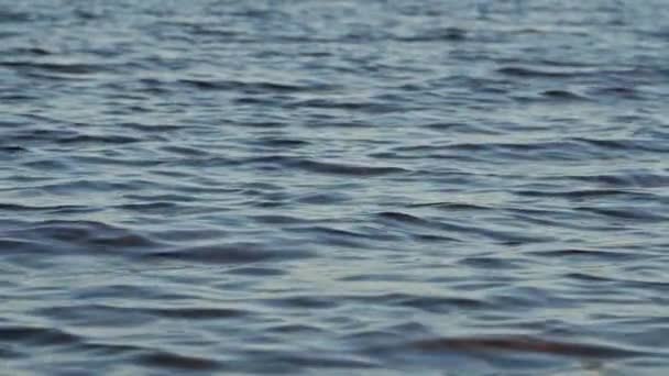 Close up of waving water surface of lake. — Stock Video