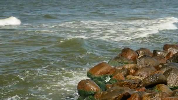 Meerwasser spritzt auf Felsen an der Küste. — Stockvideo