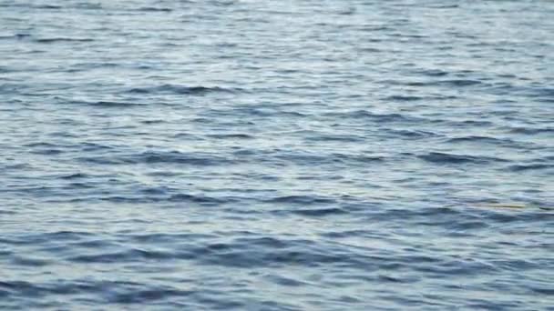 Gros plan de la surface de l'eau ondulante du lac .
