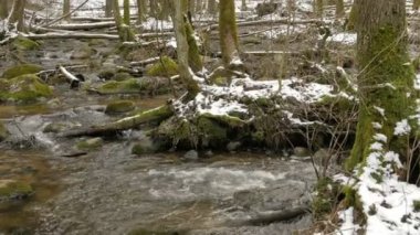 Ormanda kış kar ile güzel bir kristal berraklığında dere akar.