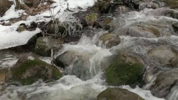 En vacker kristallklart bäck på vintern med snö rinner genom skogen. — Stockvideo