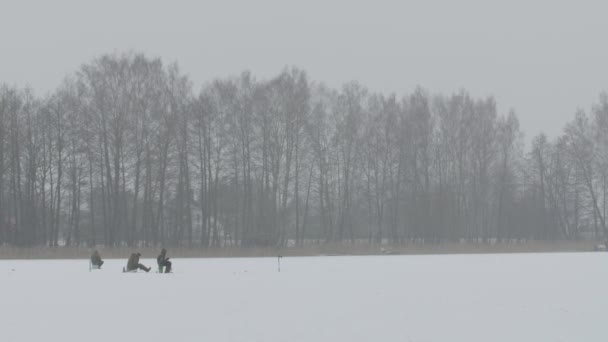 Muchos pescadores están pescando. Pesca con hielo . — Vídeos de Stock