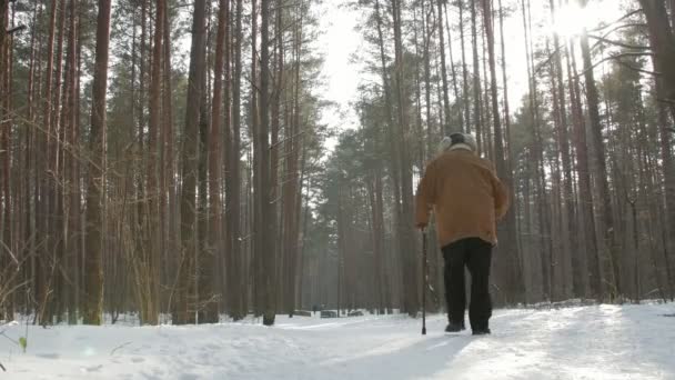Nordic walking - sport invernali per tutte le età. Persone attive diverse età escursioni nella foresta innevata . — Video Stock