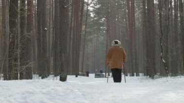 Nordik yürüyüş - kış sporu her yaş için. Aktif insanlar farklı yaş karlı ormanda hiking.
