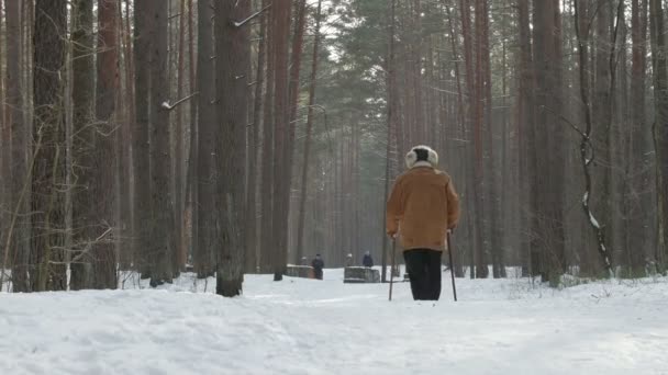 Caminhada nórdica - esporte de inverno para todas as idades. Pessoas ativas diferentes idades caminhadas na floresta nevada . — Vídeo de Stock