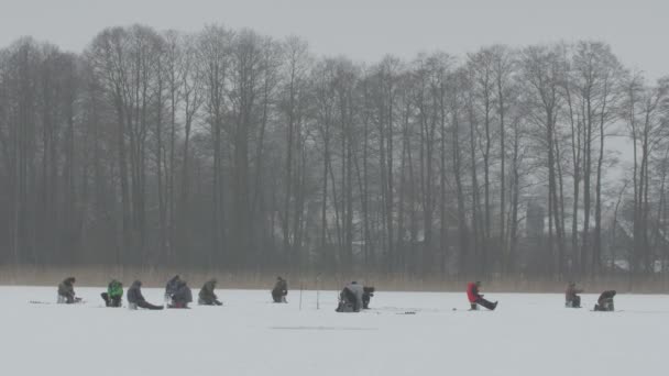 Muitos pescadores estão a pescar. Pesca no gelo . — Vídeo de Stock
