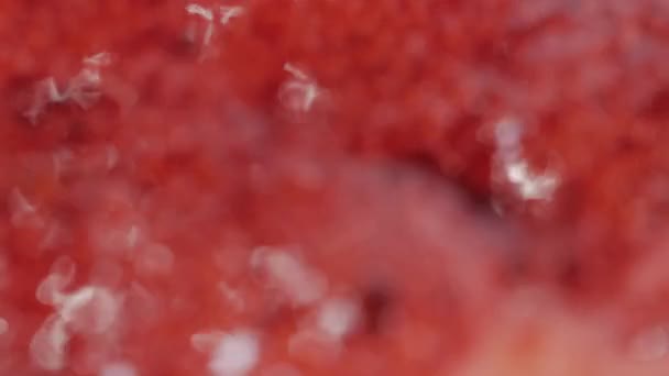 Home cooking cranberries jam close-up boiling. — Stock Video