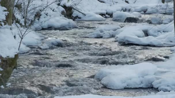 Een prachtige kristalheldere stroom in de winter met sneeuw stroomt door bossen. — Stockvideo