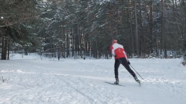 Muž lyžování jedině příroda. — Stock video