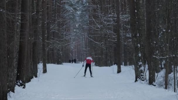 Man skiën alleen in natuur. — Stockvideo