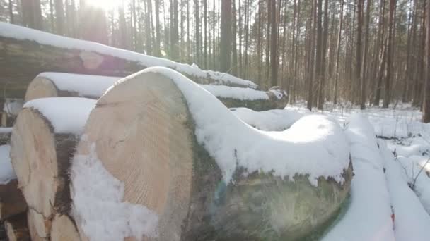 Hoop gesneden bomen langs de weg bedekt met witte sneeuw op een winterse bewolkte dag. — Stockvideo