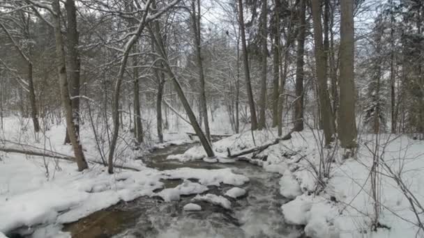 Kleiner Bach im winterlich verschneiten Wald zwischen Schneebänken. — Stockvideo