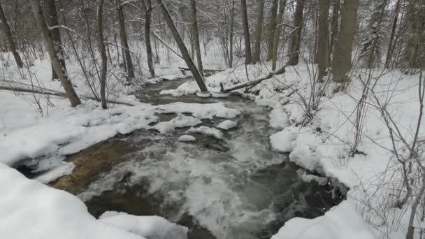 Маленький ручей в зимнем снежном лесу среди снежных берегов . — стоковое видео