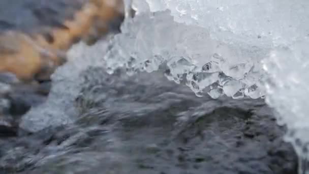 Frozen Mountain Stream. Sous la glace s'accumule courant ruisseau de montagne gros plan . — Video